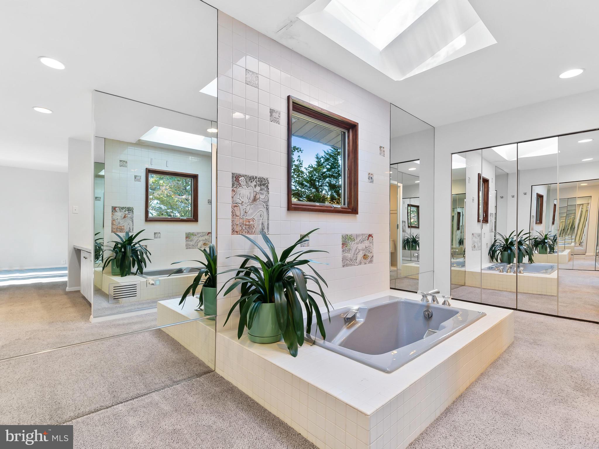 116 Delford Avenue Silver Spring, MD 20904 - Photo 16 of 30 Sunken Tub & Skylight