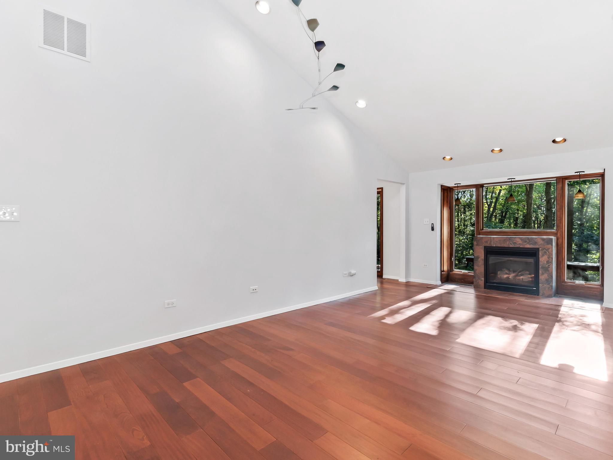 116 Delford Avenue Silver Spring, MD 20904 - Photo 4 of 30 Vaulted Ceiling, Fireplace, View of Trees