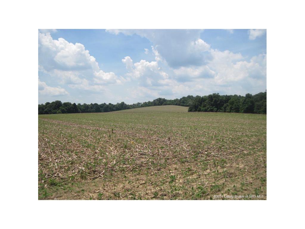 1445 North St Road Marengo, IN 47140 - Photo 1 of 11