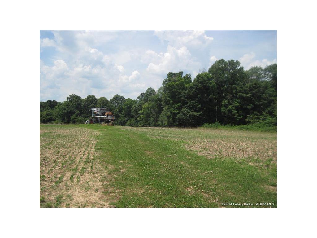 1445 North St Road Marengo, IN 47140 - Photo 4 of 11