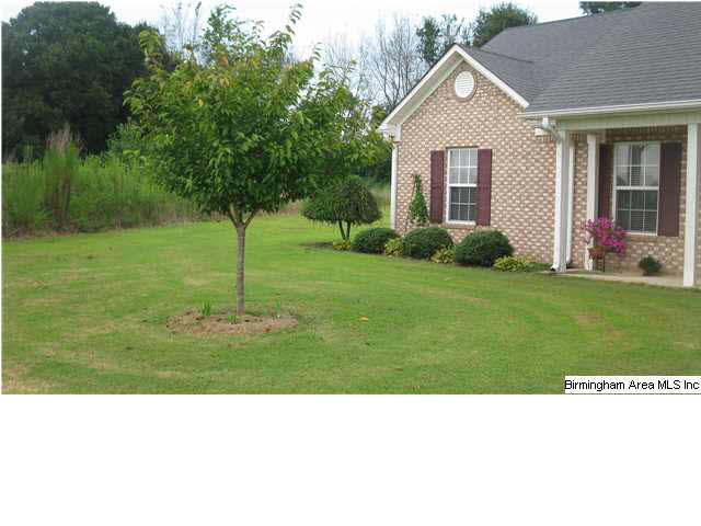198 Emmaus Road Cleveland, AL 35049 - Photo 24 of 31 Gallery Image 24