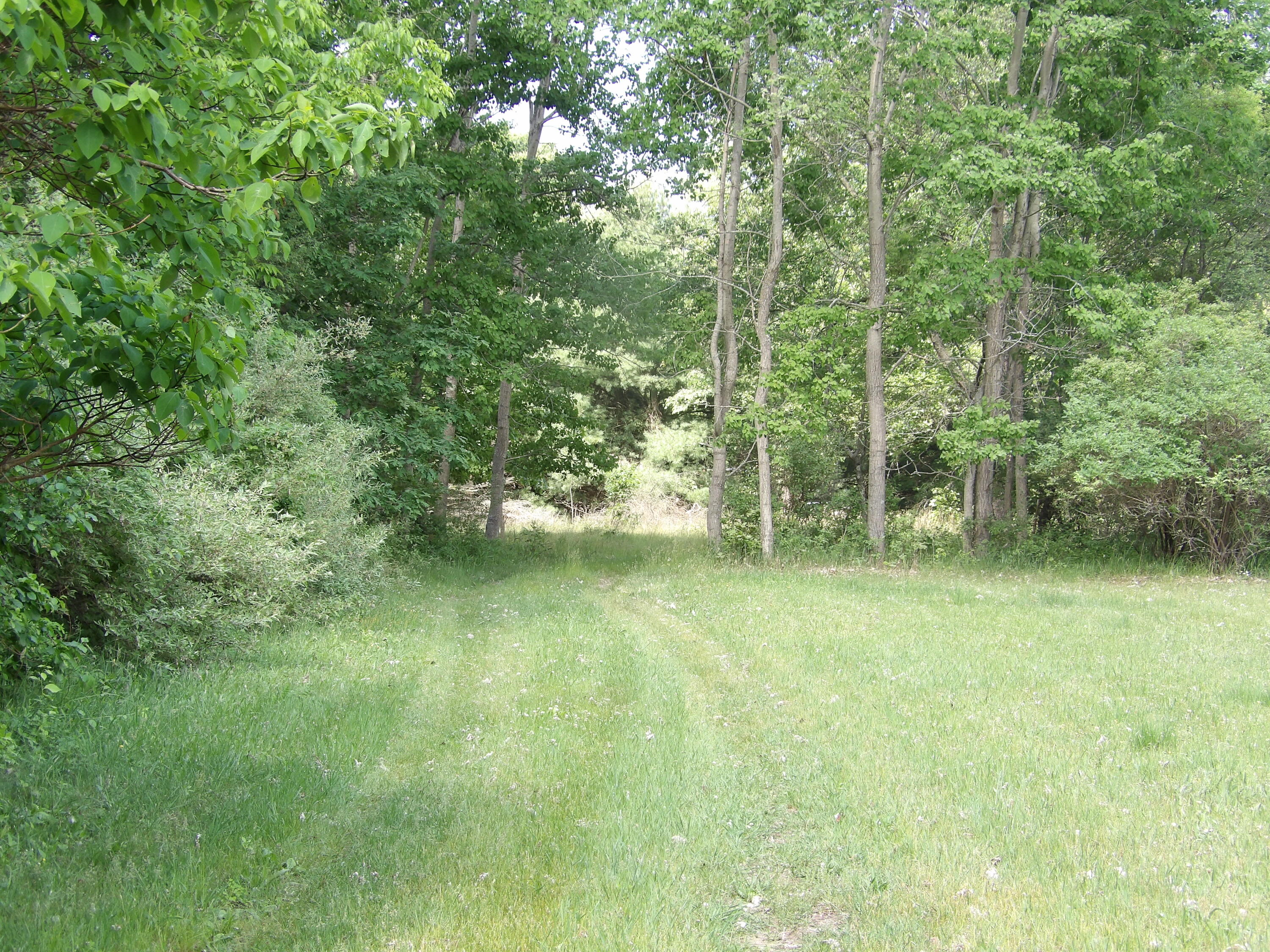 North Buys Road Muskegon, MI 49445 - Photo 2 of 3 101_0563