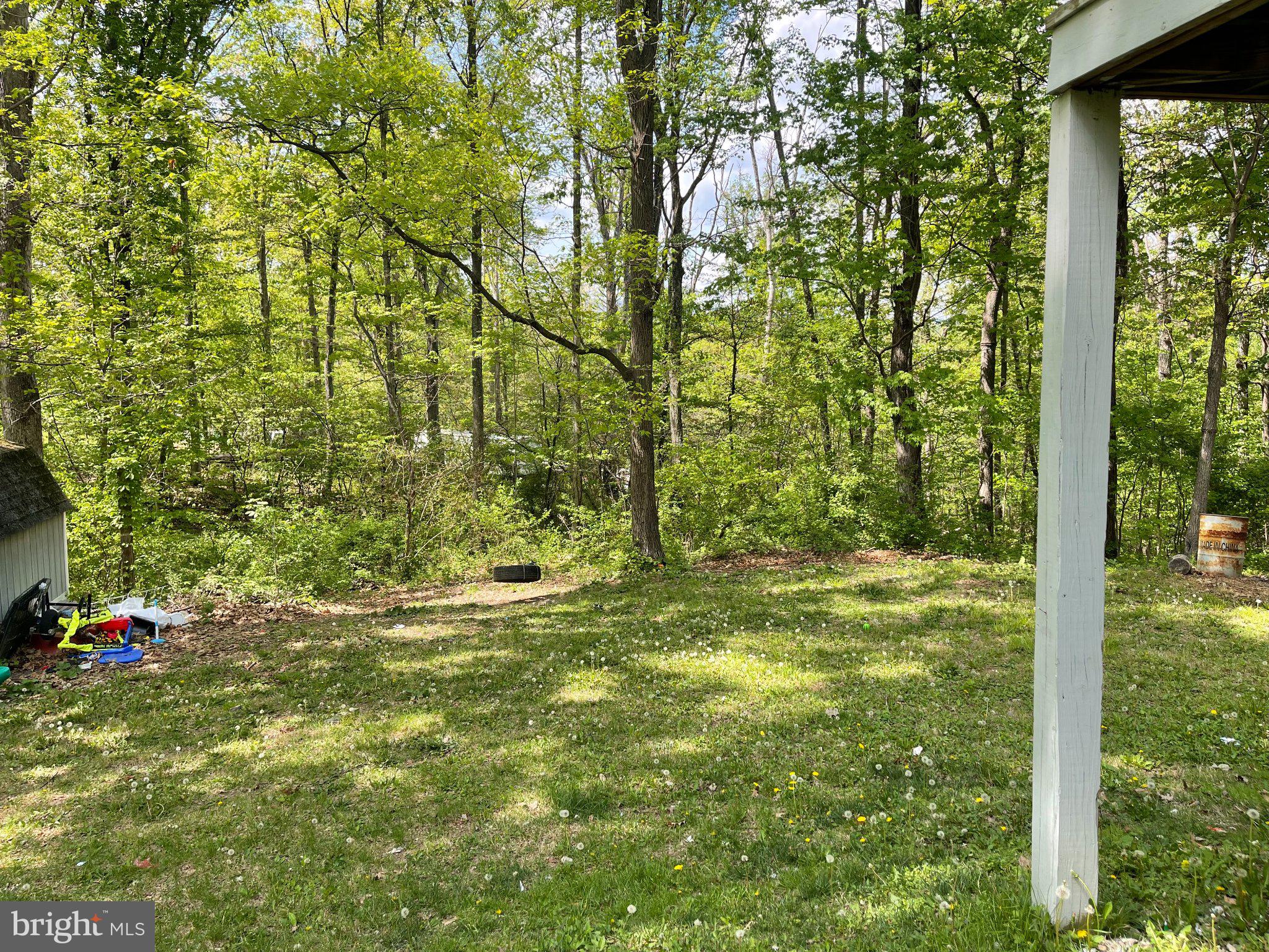 384 Nancy Jack Road Gerrardstown, WV 25420 - Photo 3 of 13 Serene wooded retreat awaits you.