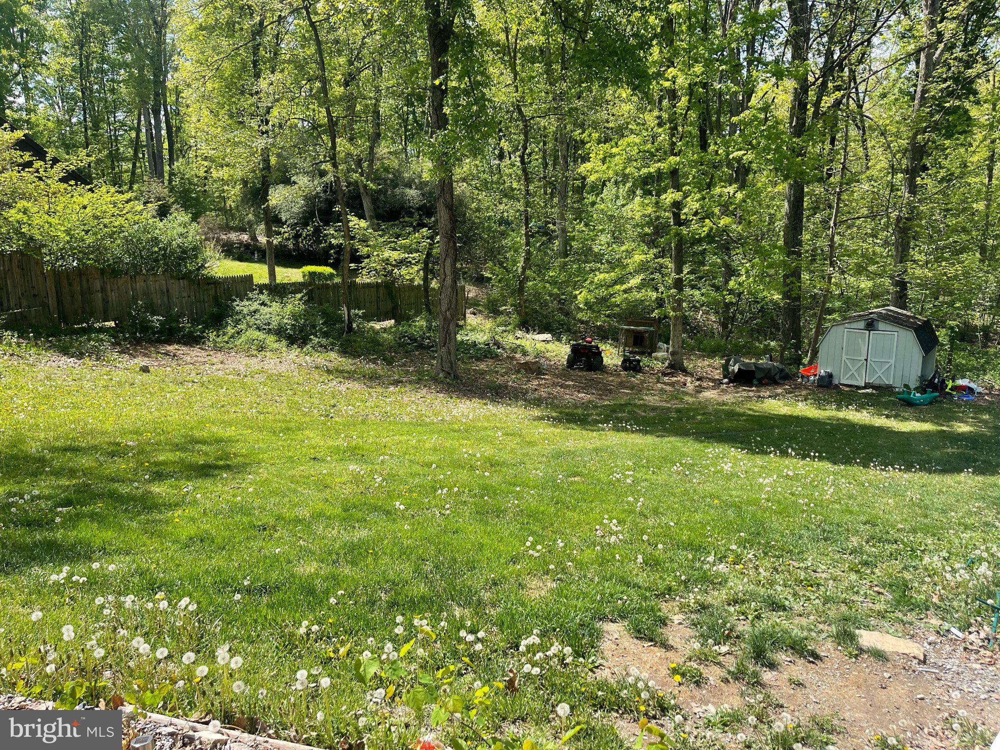 384 Nancy Jack Road Gerrardstown, WV 25420 - Photo 4 of 13 Serene green space in wooded retreat.