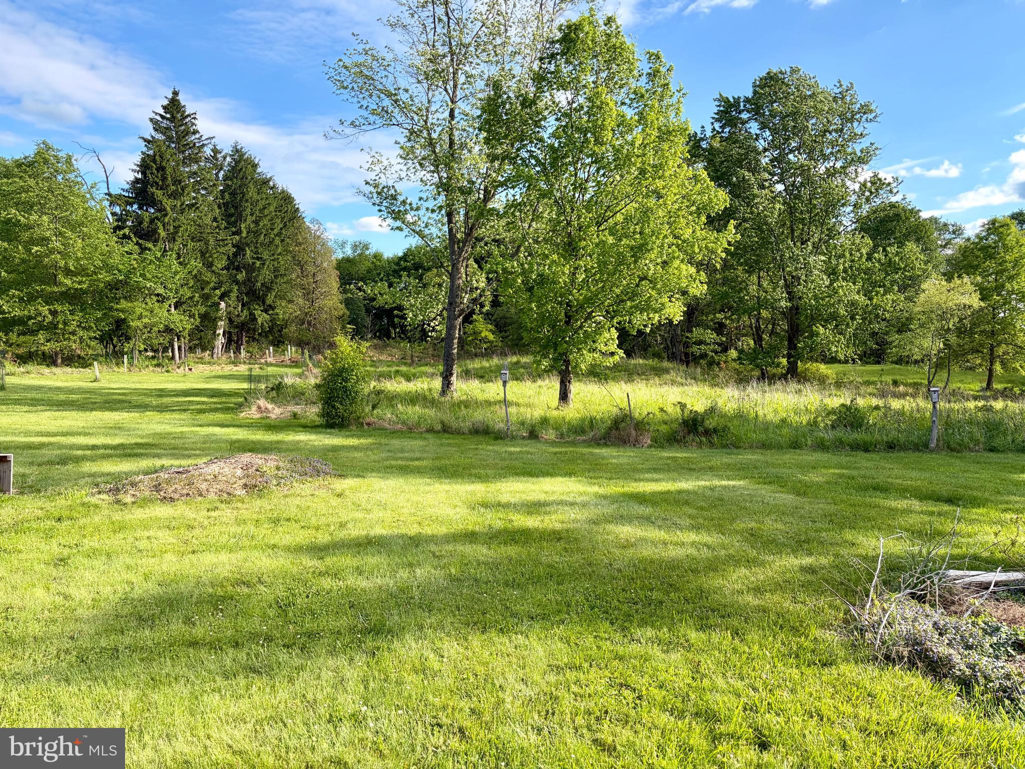 34 Woosamonsa Road Pennington, NJ 08534 - Photo 4 of 4