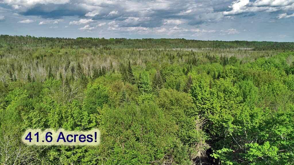 195 Dagget Road Houlton, ME 04730 - Photo 5 of 54 surveyed-maine-woodland