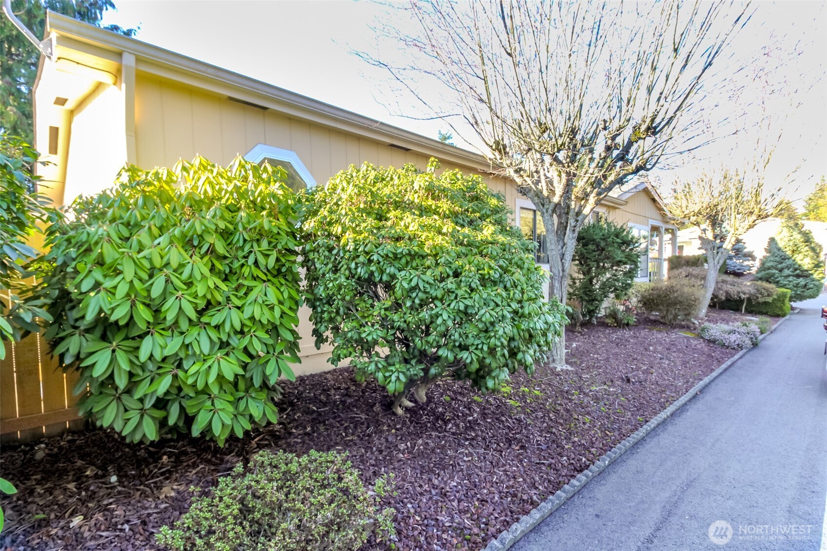 2611 South 288th Street, Unit 74 Federal Way, WA 98003 - Photo 21 of 30 a backyard of a house with lots of green space