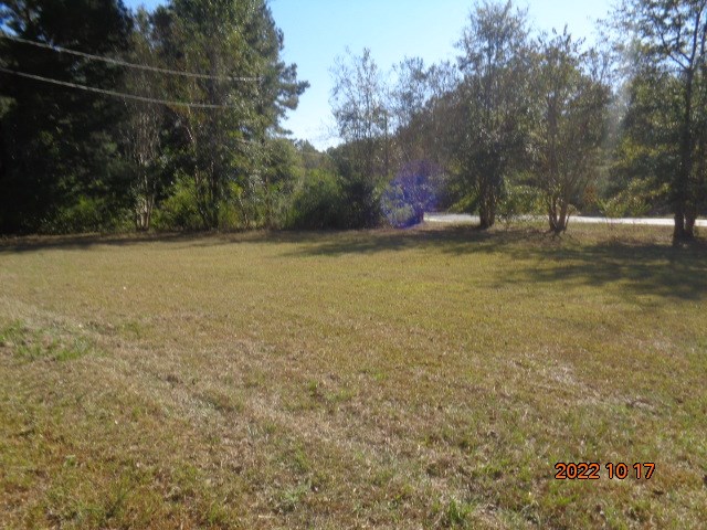 1881 Hodgesville Road Dothan, AL 36301 - Photo 33 of 56 Gallery Image 33