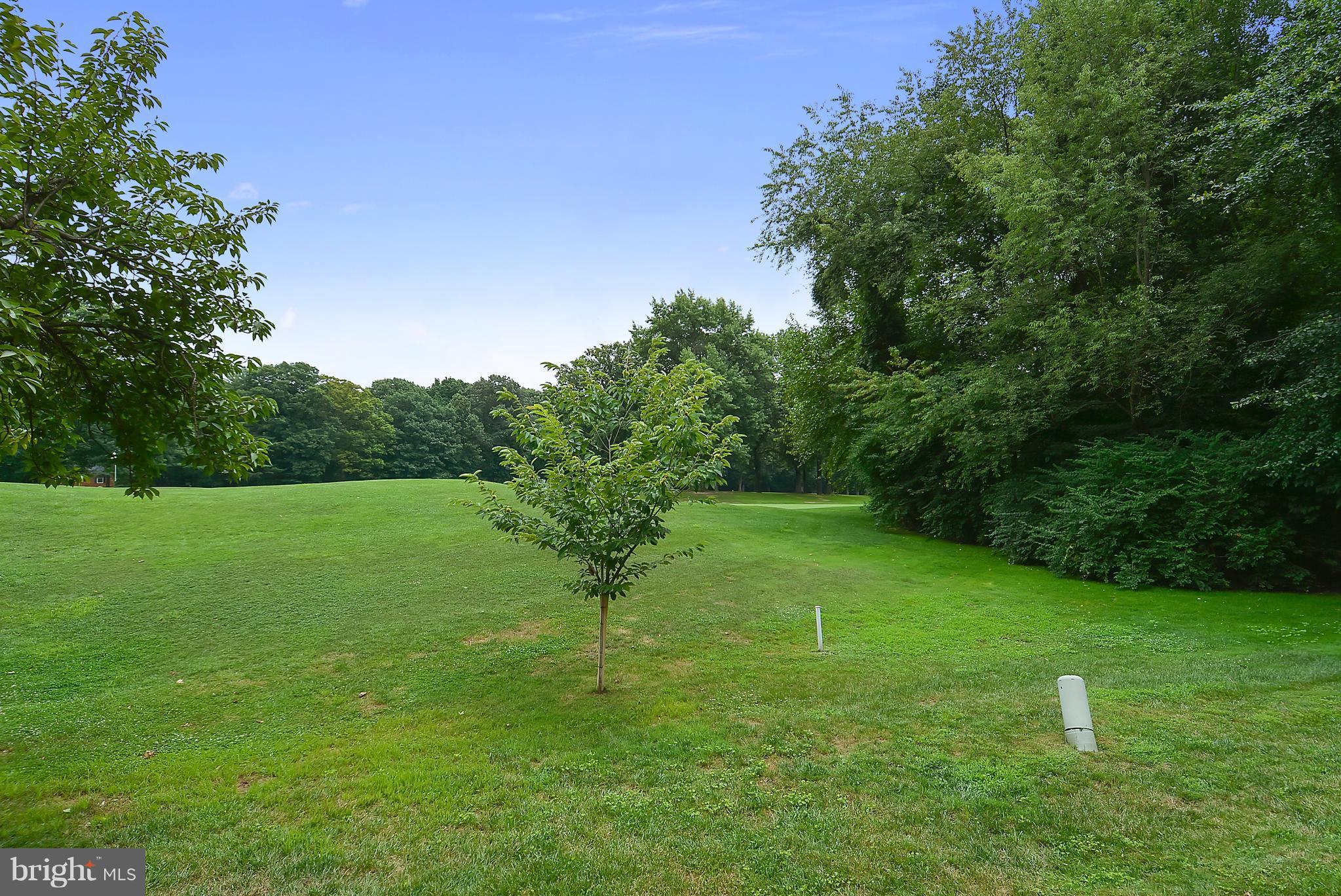 2019 Sarazen Place Reston, VA 20191 - Photo 28 of 30 Beautiful grass view and you don't have to mow !