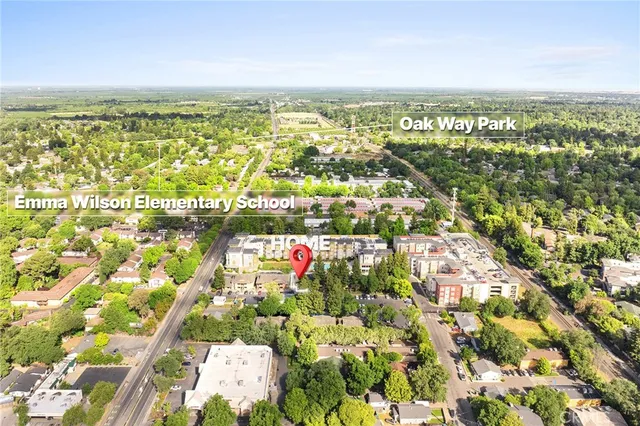 a view of street with palm trees
