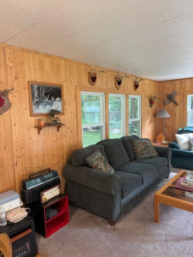 W8895 Co Road Stephenson, MI 49887 - Photo 3 of 31