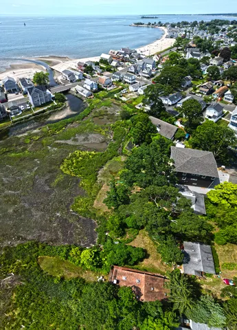 a picture of a tree in front of a house