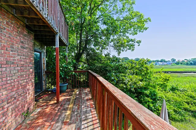 a view of a backyard with plants