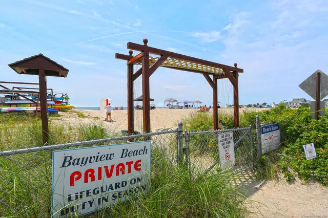 a view of a flower in a garden