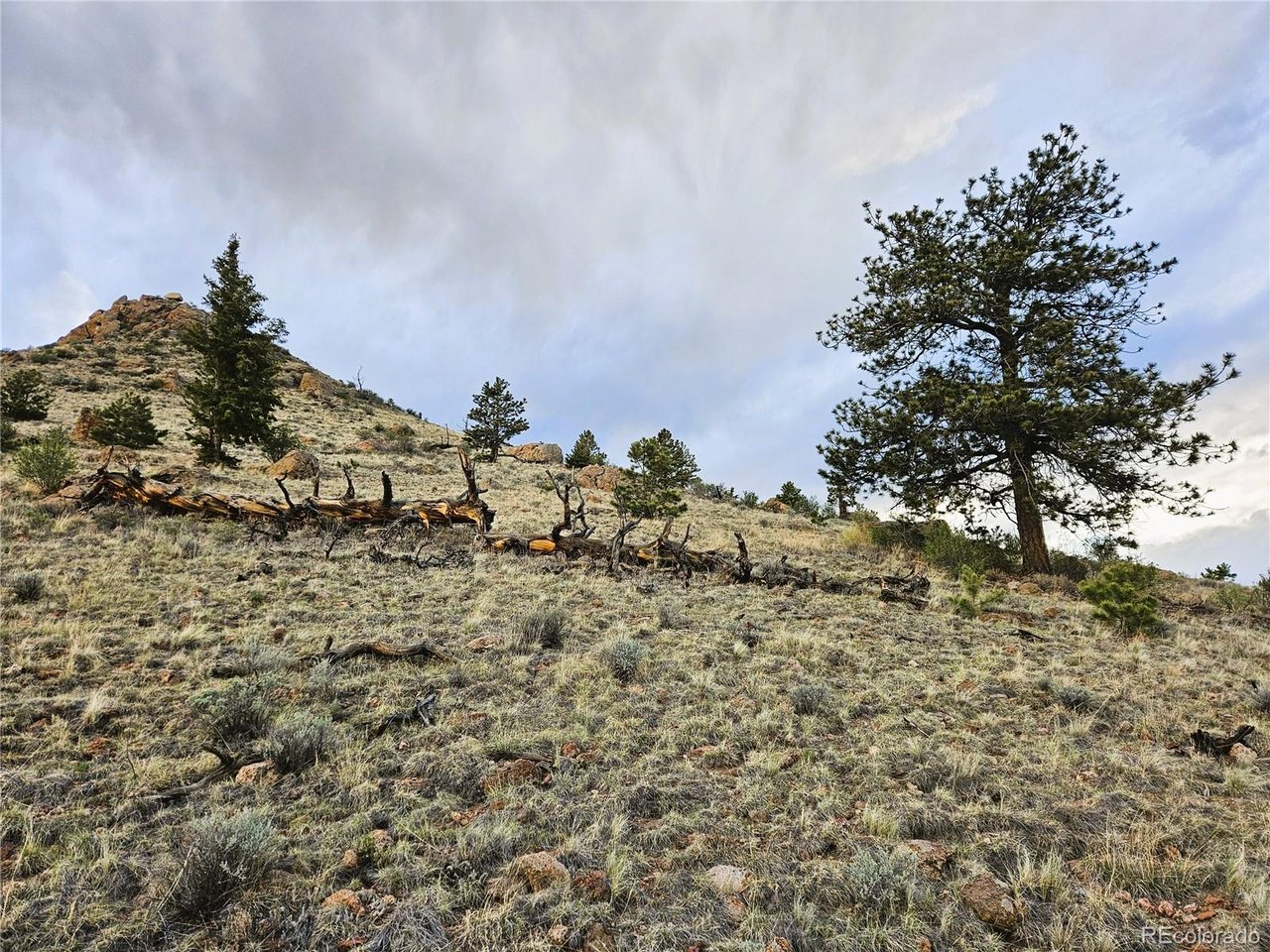 25468 Sioux Road Hartsel, CO 80449 - Photo 21 of 25