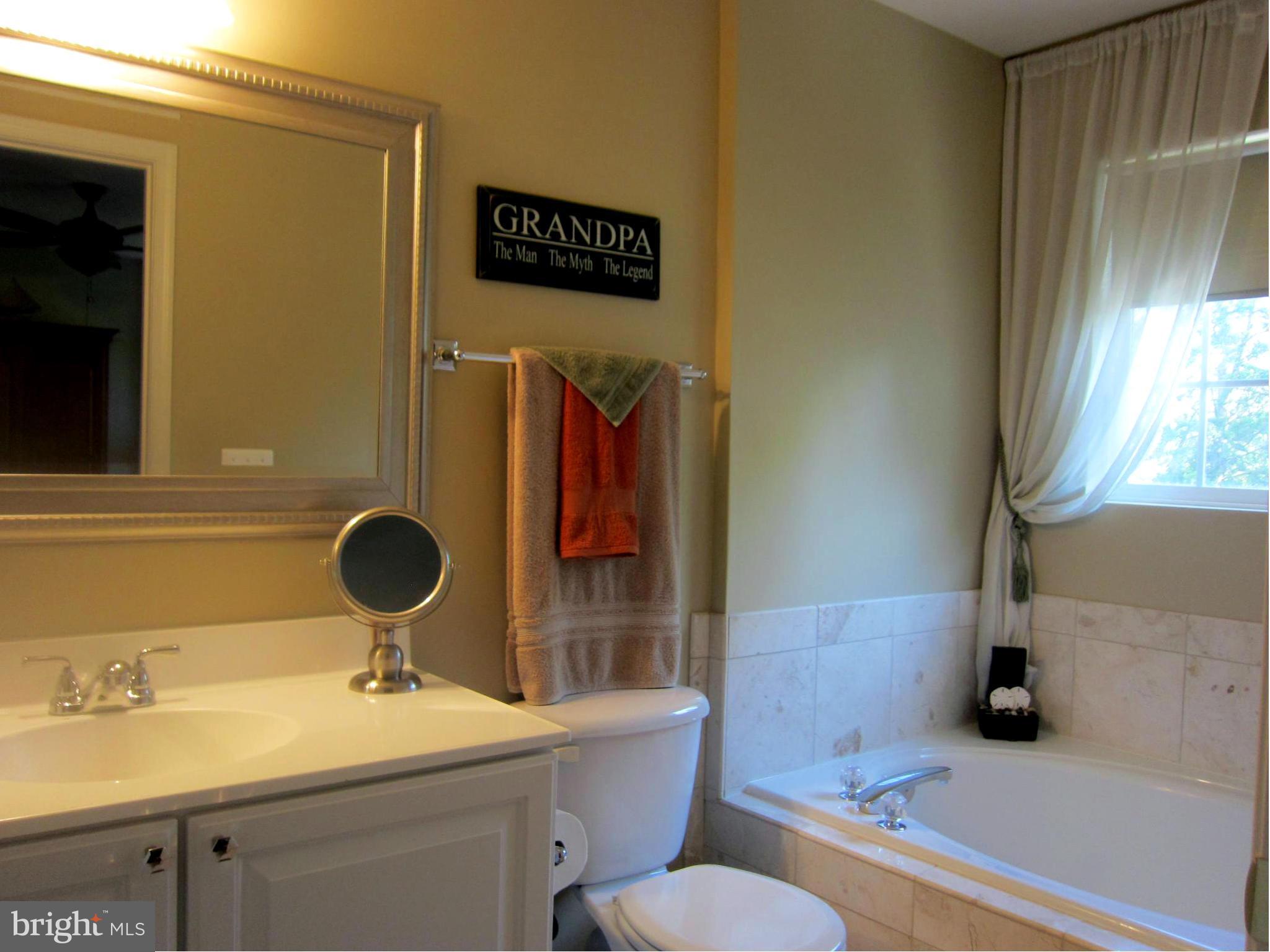 3672 Madison Watch Way Falls Church, VA 22041 - Photo 16 of 30 Bath (Master)