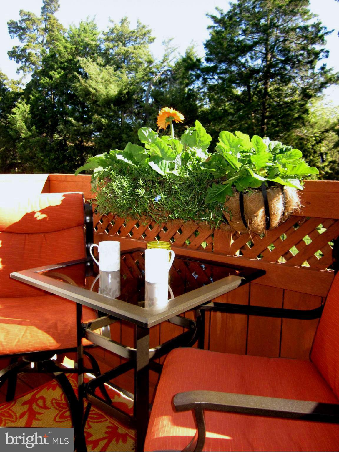 3672 Madison Watch Way Falls Church, VA 22041 - Photo 19 of 30 View