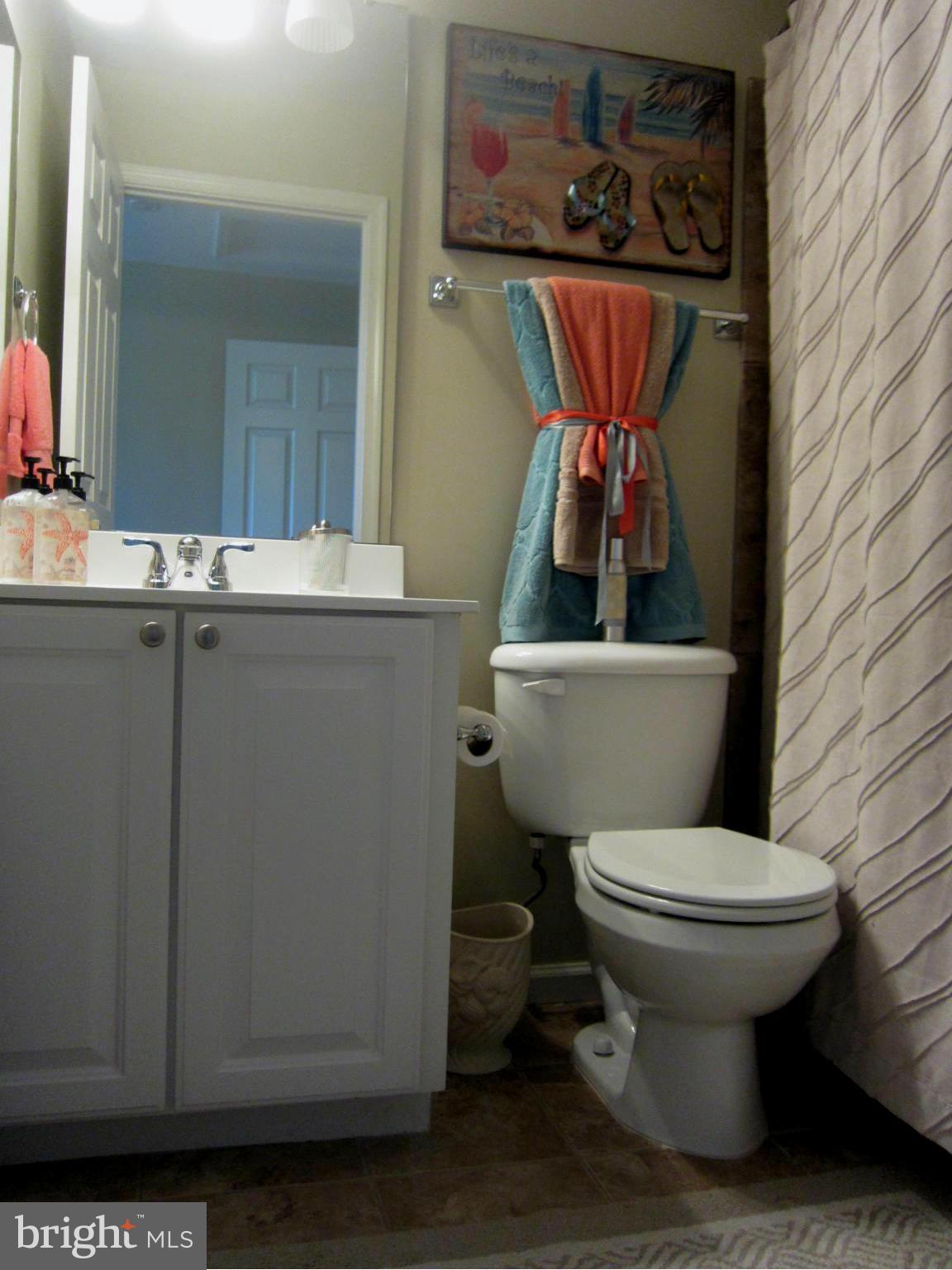 3672 Madison Watch Way Falls Church, VA 22041 - Photo 22 of 30 Bath