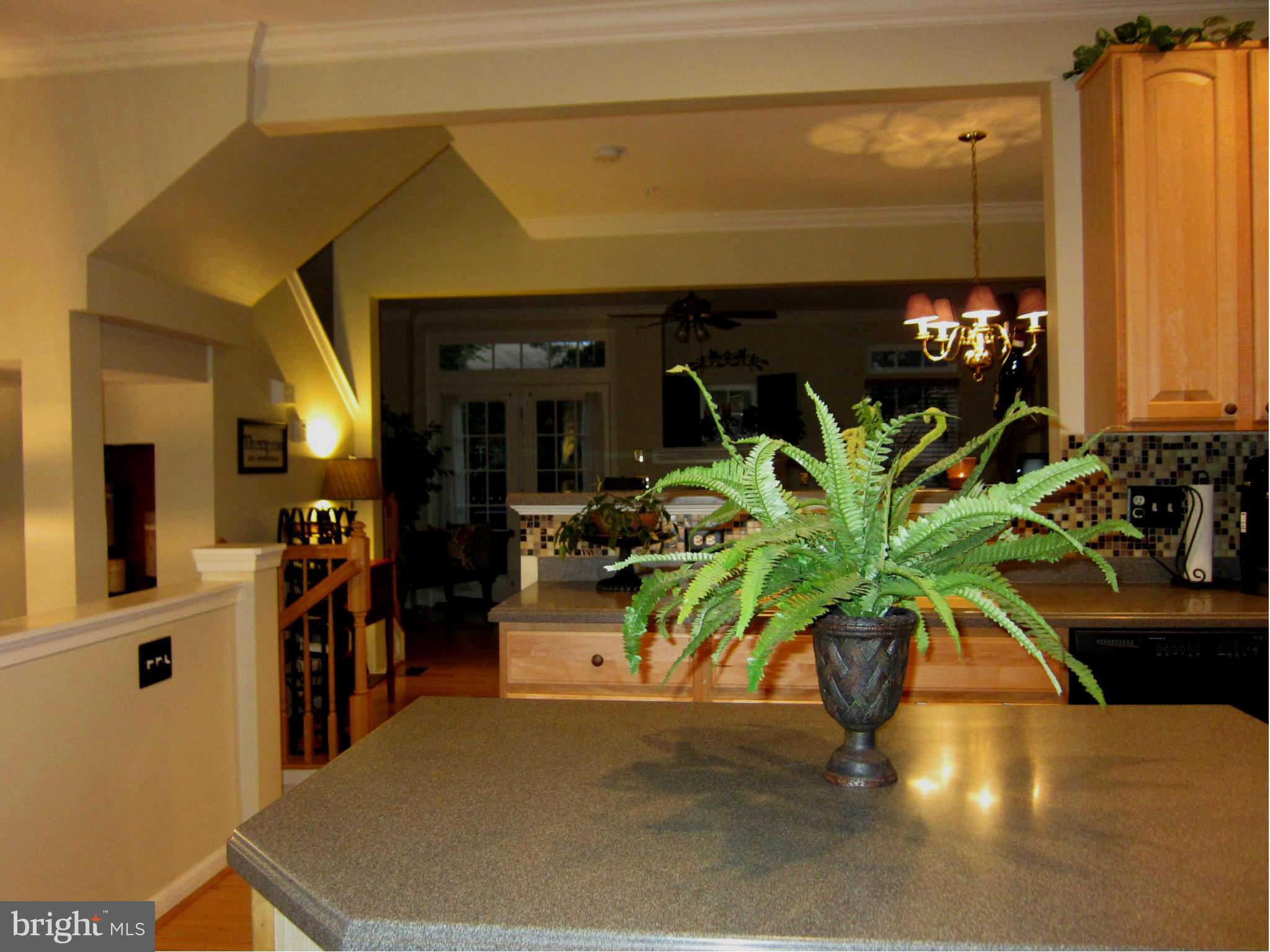 3672 Madison Watch Way Falls Church, VA 22041 - Photo 24 of 30 Interior (General)