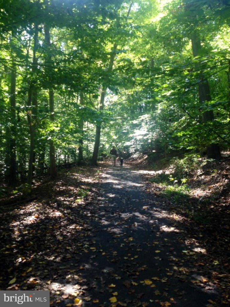 3672 Madison Watch Way Falls Church, VA 22041 - Photo 27 of 30 Exterior (General)