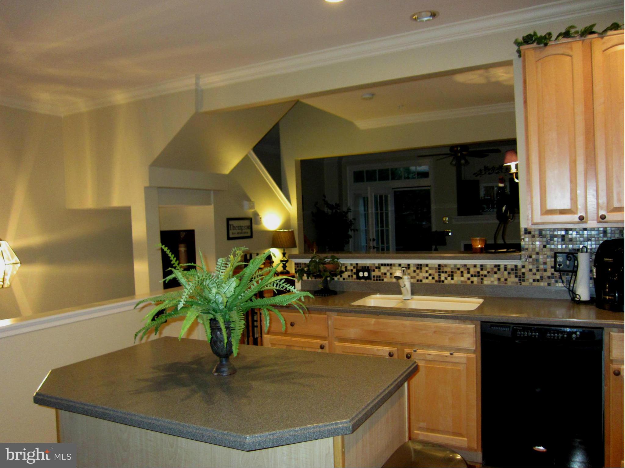 3672 Madison Watch Way Falls Church, VA 22041 - Photo 4 of 30 Interior (General)