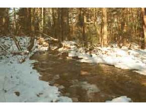 * Easton Valley Road Easton, NH 03580 - Photo 2 of 3 Gallery Image 2