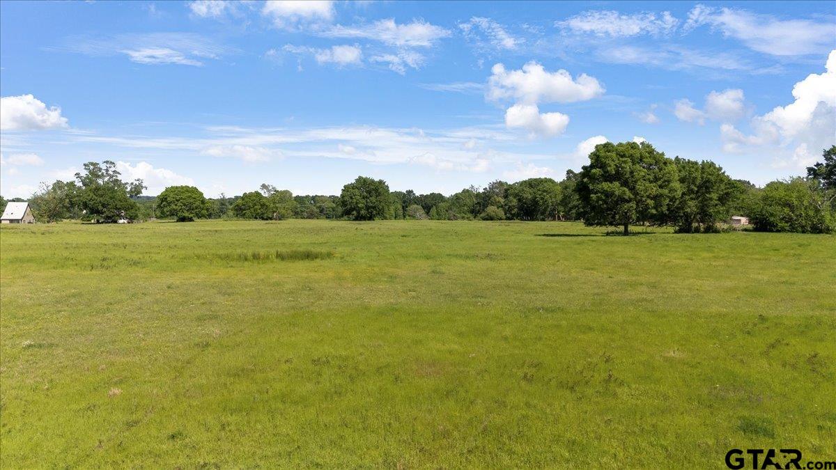 335 County Road 4802 Troup, TX 75789 - Photo 12 of 23 a view of a field with an trees in the background