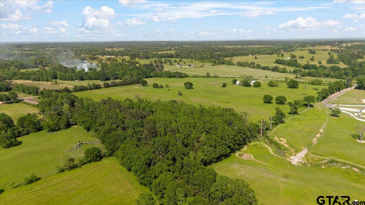 335 County Road 4802 Troup, TX 75789 - Photo 15 of 23 a view of an ocean view