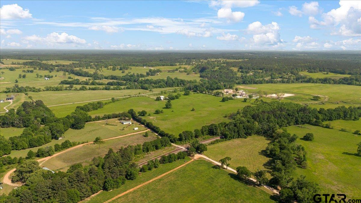 335 County Road 4802 Troup, TX 75789 - Photo 16 of 23 a view of a city