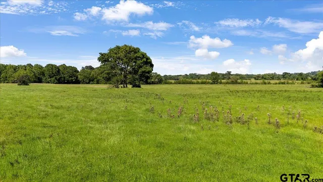 a view of an outdoor space and yard