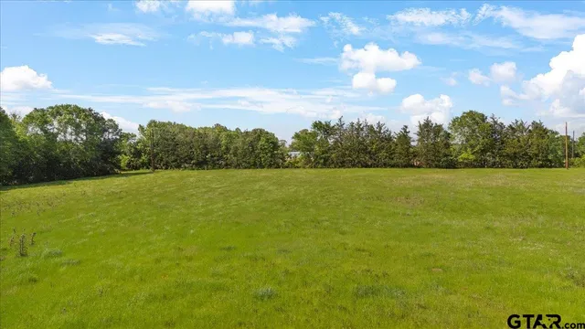a view of a lake from a yard