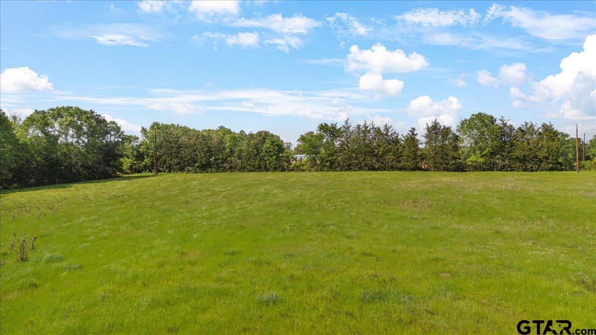 335 County Road 4802 Troup, TX 75789 - Photo 5 of 23 a view of a lake from a yard