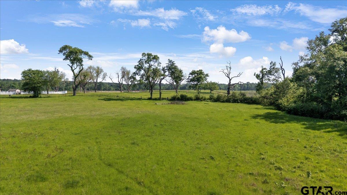 335 County Road 4802 Troup, TX 75789 - Photo 9 of 23 a view of a golf course