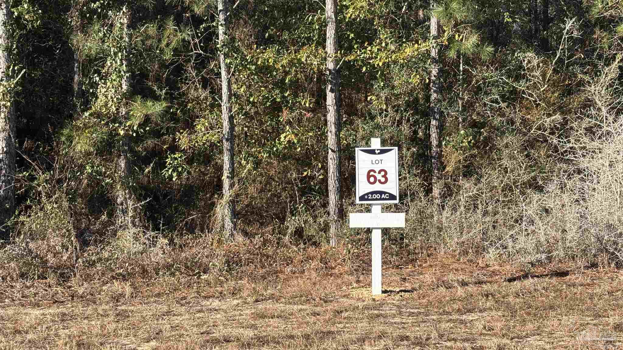 Lot 63 Straw Bridge Road Jay, FL 32565 - Photo 2 of 7