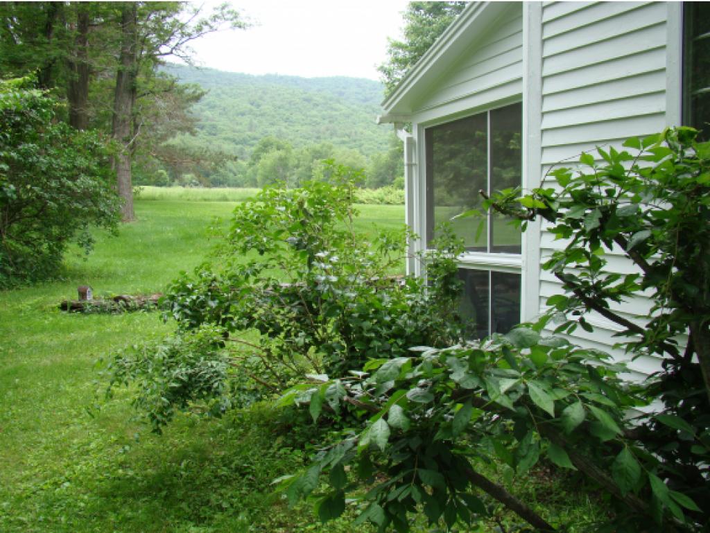 183 West Road Dorset, VT 05251 - Photo 8 of 20 Gallery Image 8