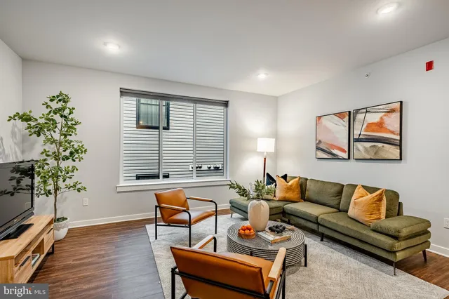 a living room with furniture and a potted plant
