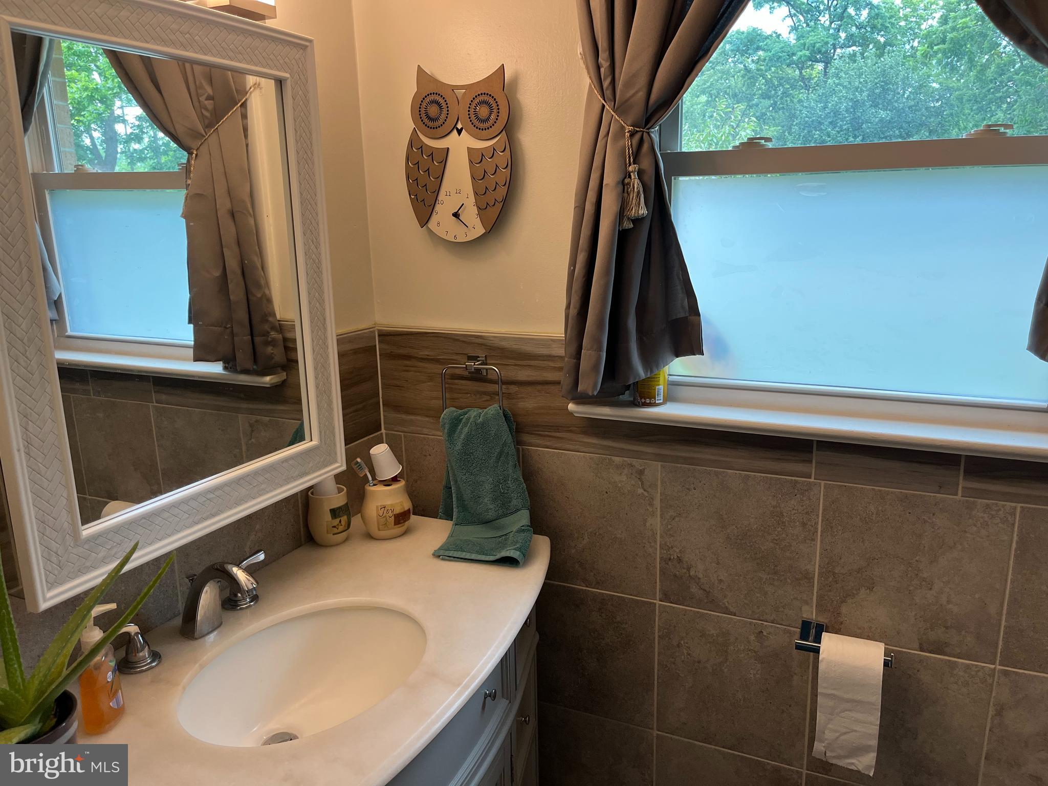 393 Mountain View Road Reading, PA 19607 - Photo 11 of 21 a bathroom with a sink and a mirror