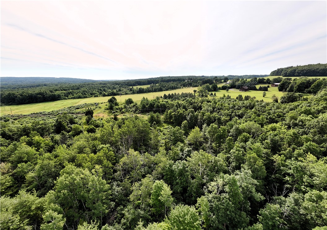 O O Grove Hammondsport, NY 14840 - Photo 12 of 13