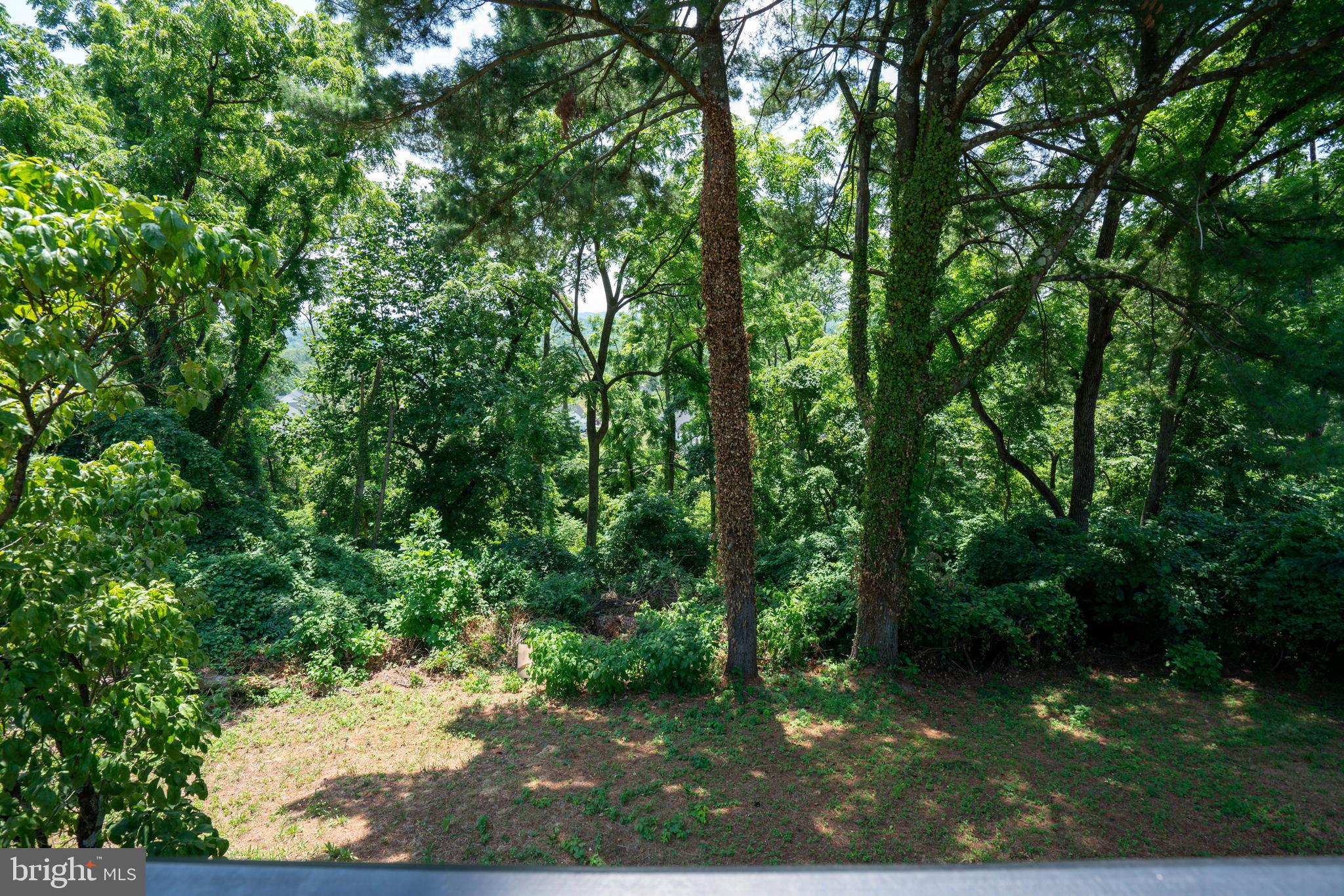 1321 Township Line Road Chalfont, PA 18914 - Photo 3 of 28 Views from Deck.