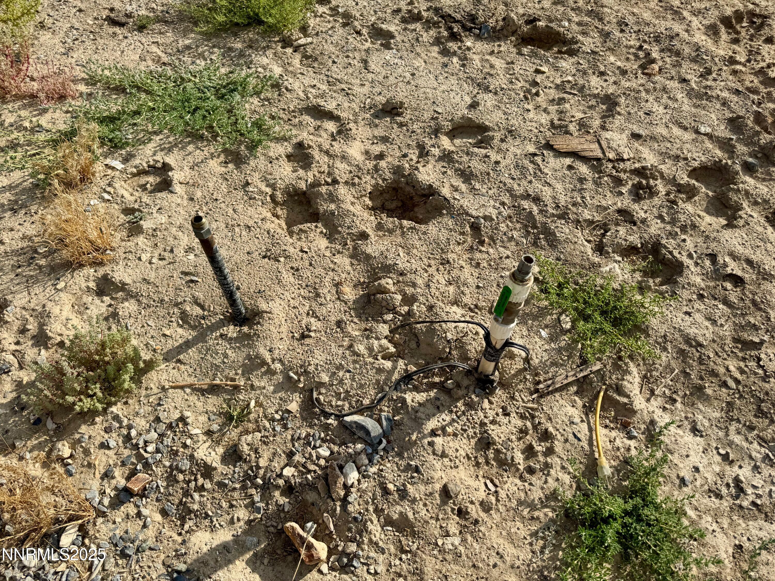 11875 Shasta Lake Road, Unit 79 Lovelock, NV 89419 - Photo 11 of 28 IMG_1327