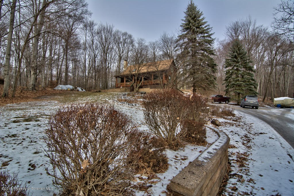 28 Elias Road Moscow, PA 18444 - Photo 48 of 69 a view of a yard with a tree