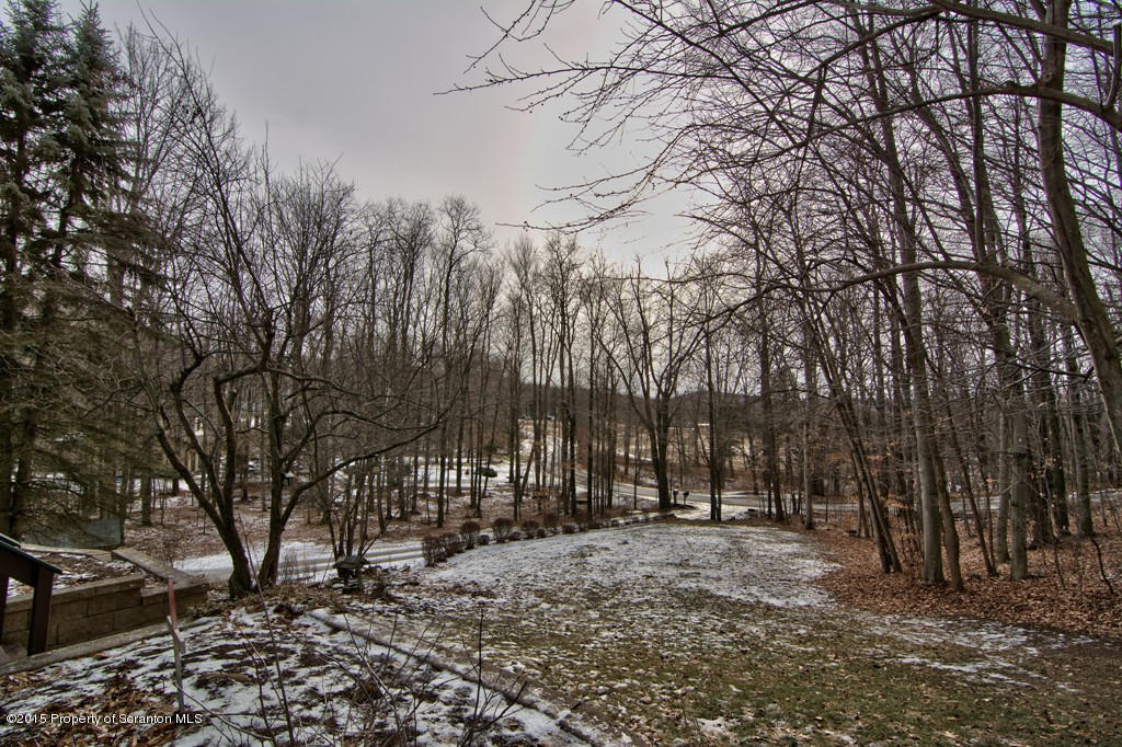 28 Elias Road Moscow, PA 18444 - Photo 50 of 69 a view of outdoor space with lots of trees