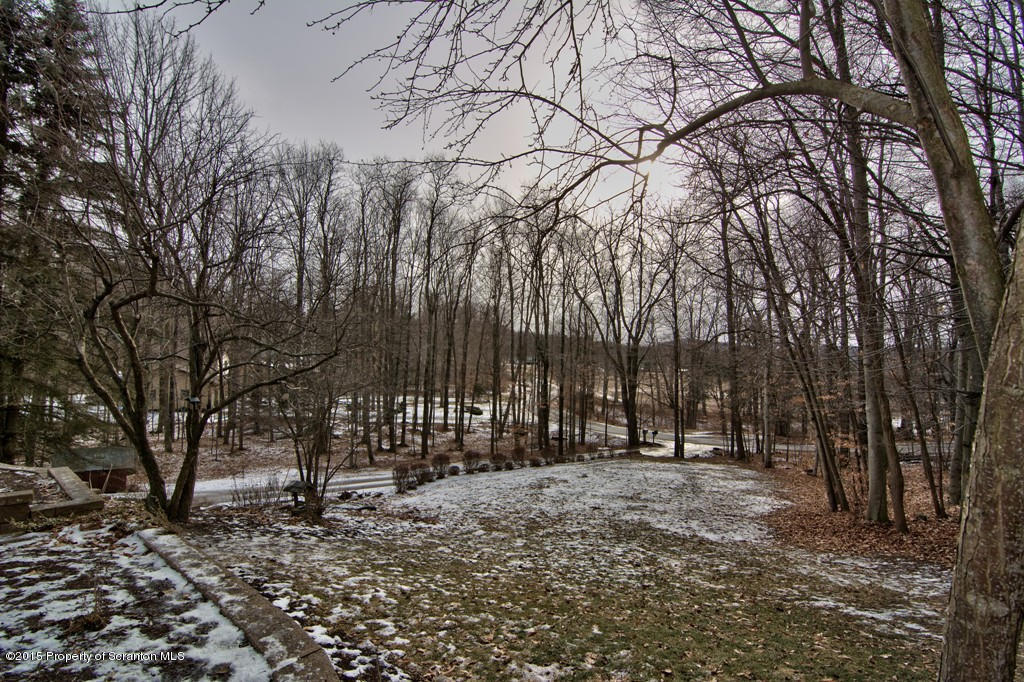 28 Elias Road Moscow, PA 18444 - Photo 51 of 69 a view of outdoor space with lots of trees