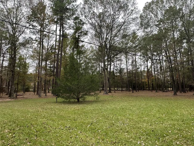 a backyard of a house with lots of trees