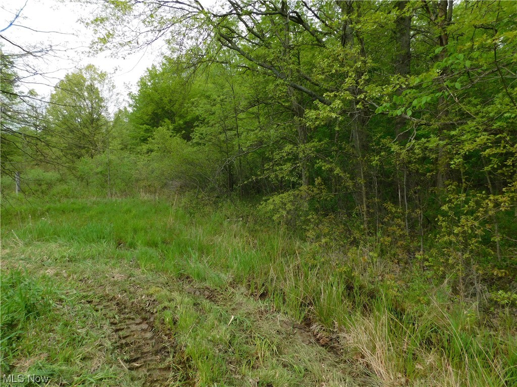 Hyde Road Rome, OH 44085 - Photo 3 of 6