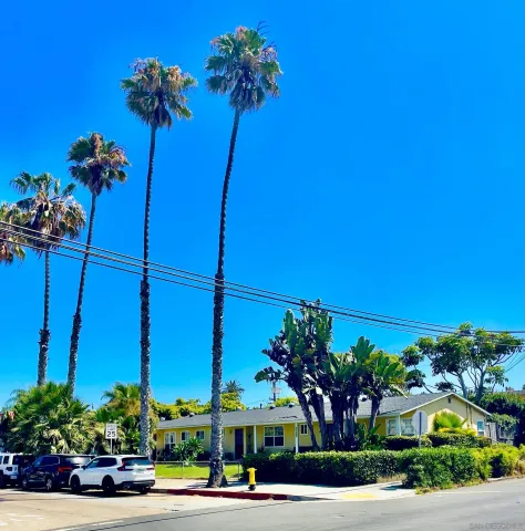 a vase of flowers sitting on a sidewalk