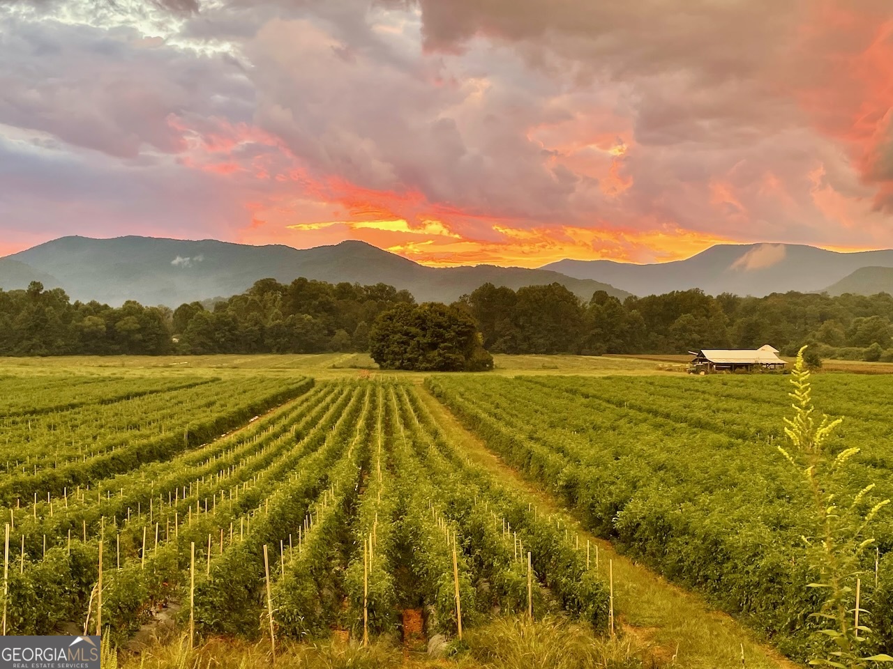 0 Uplander Court Rabun Gap, GA 30568 - Photo 20 of 20 a view of an ocean and a mountain