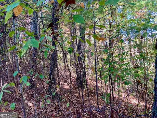 a backyard of a house with lots of trees