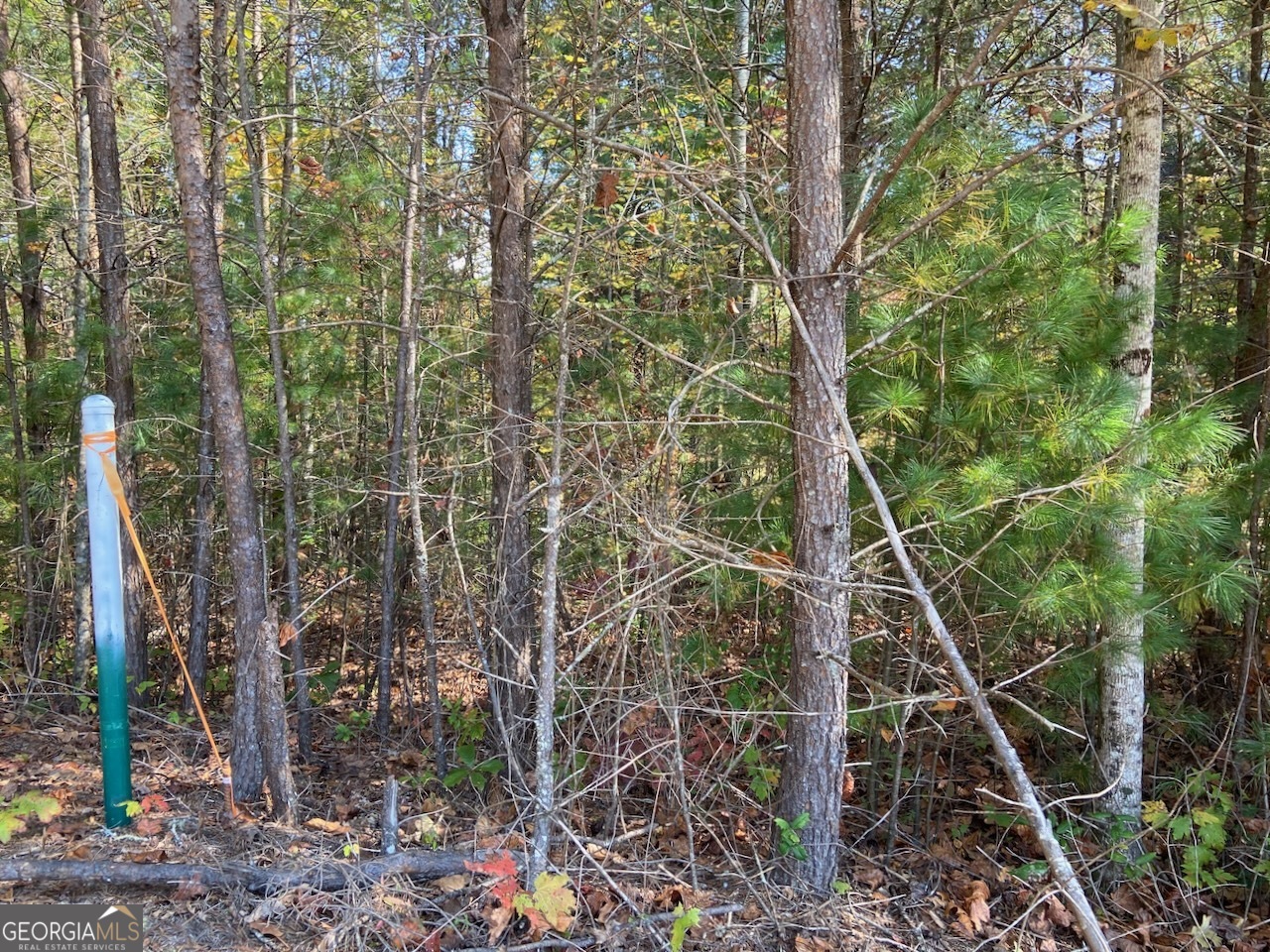 0 Uplander Court Rabun Gap, GA 30568 - Photo 5 of 20 a backyard of a house with lots of trees