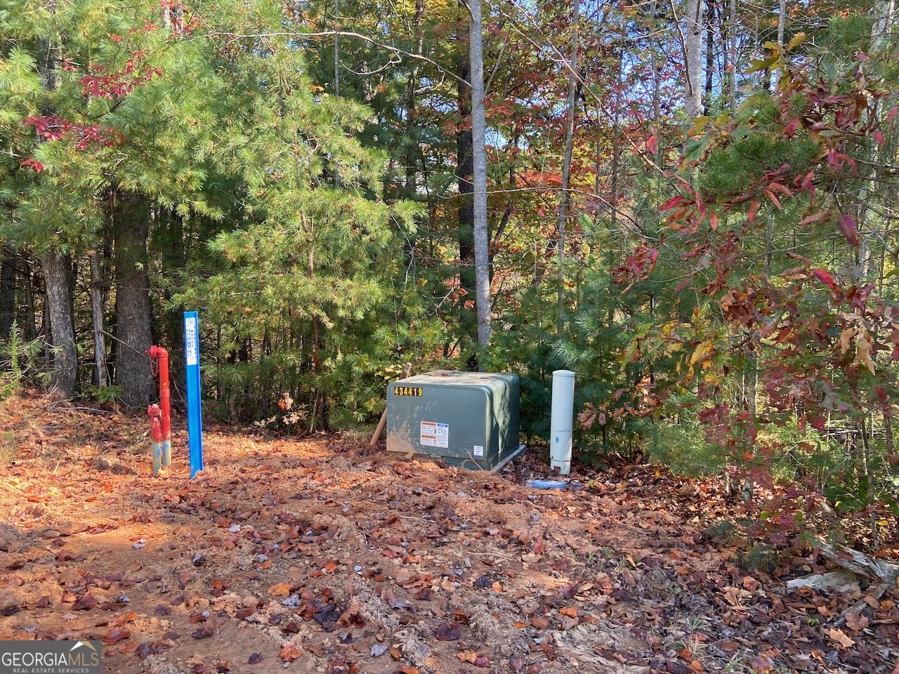 0 Uplander Court Rabun Gap, GA 30568 - Photo 6 of 20 a view of a backyard